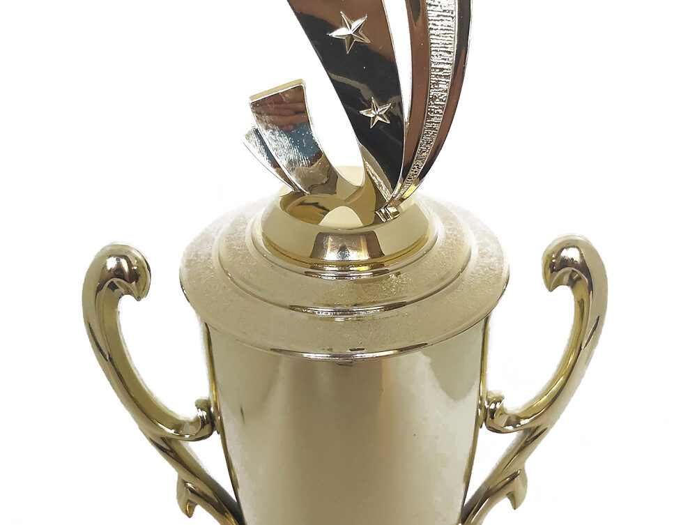 Soccer Sport Scene Trophy 390mm