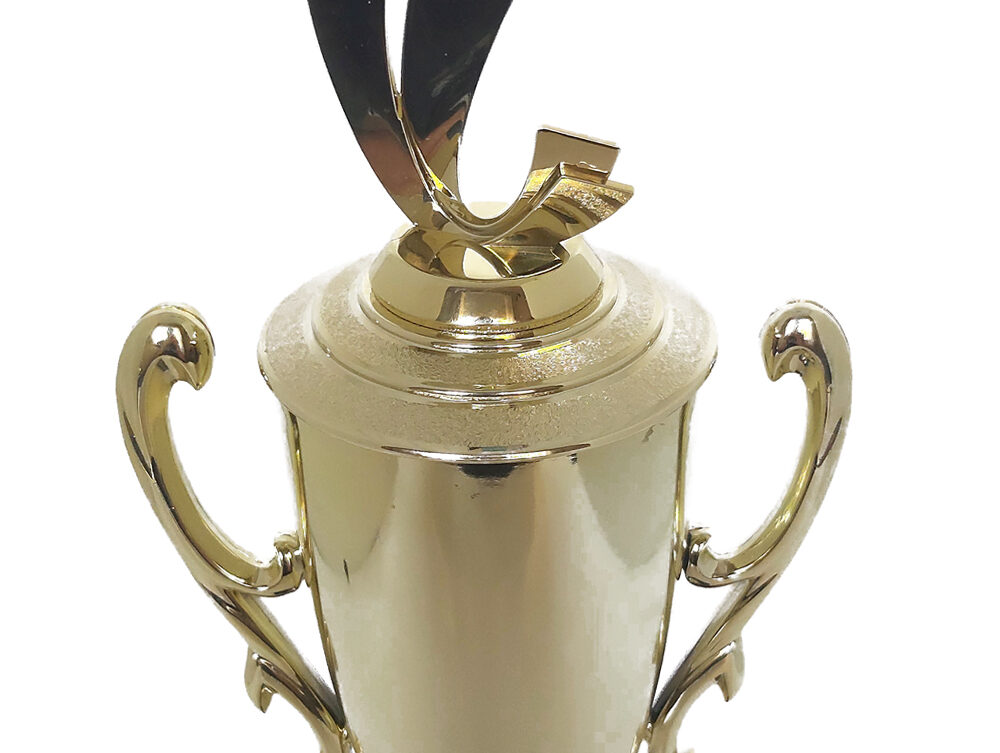 Soccer Sport Scene Trophy 390mm