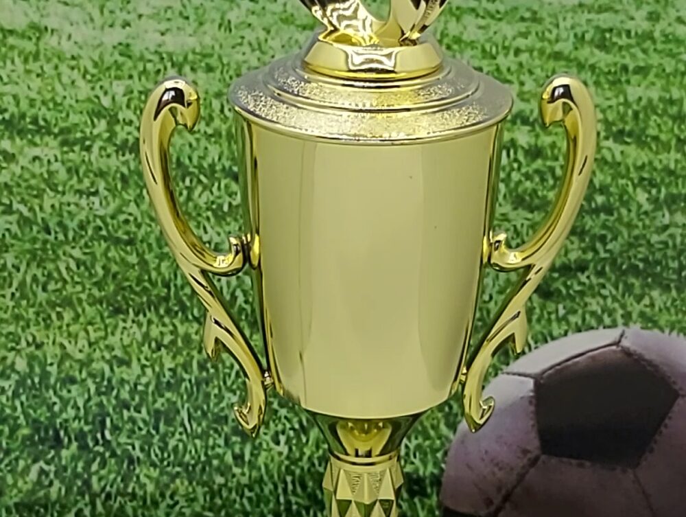 Soccer Sport Scene Trophy 350mm