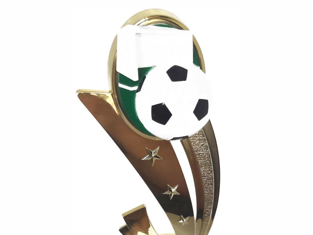 Soccer Sport Scene Trophy 250mm