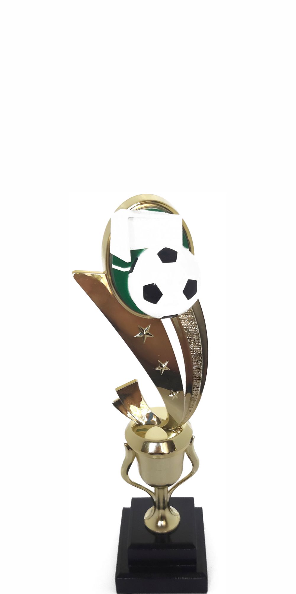 Soccer Sport Scene Trophy 250mm