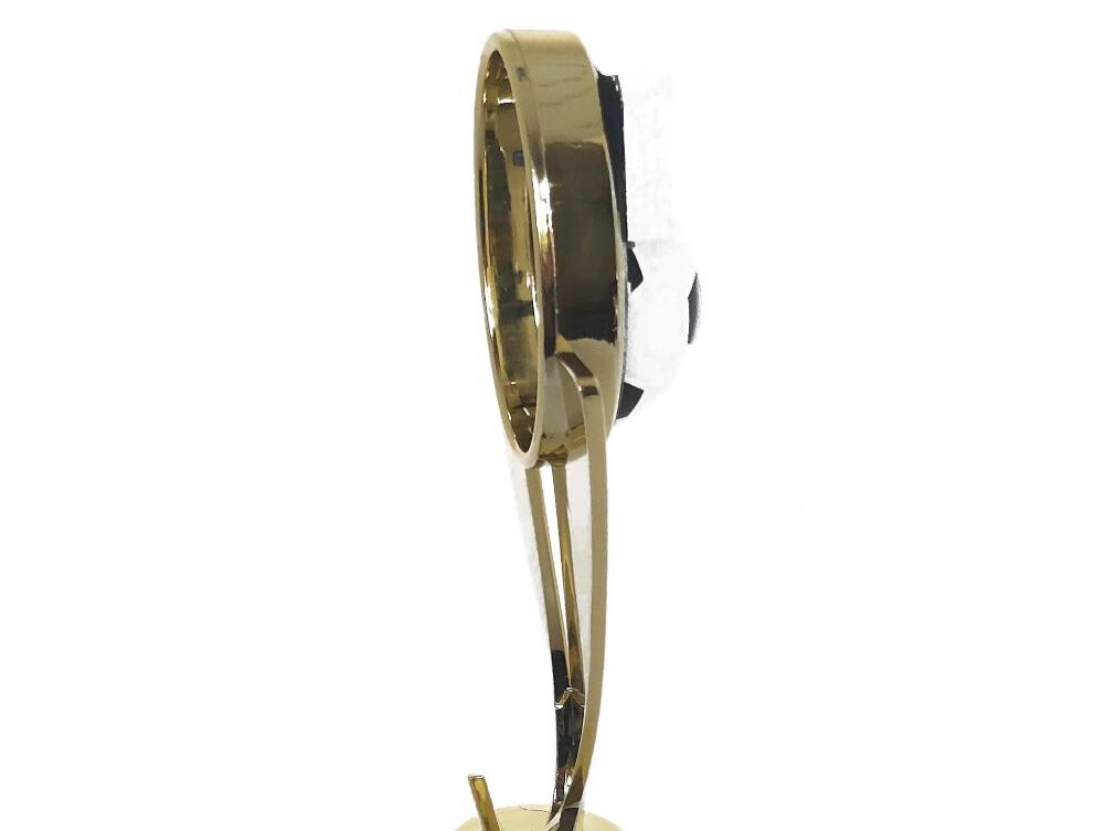 Soccer Sport Scene Trophy 250mm