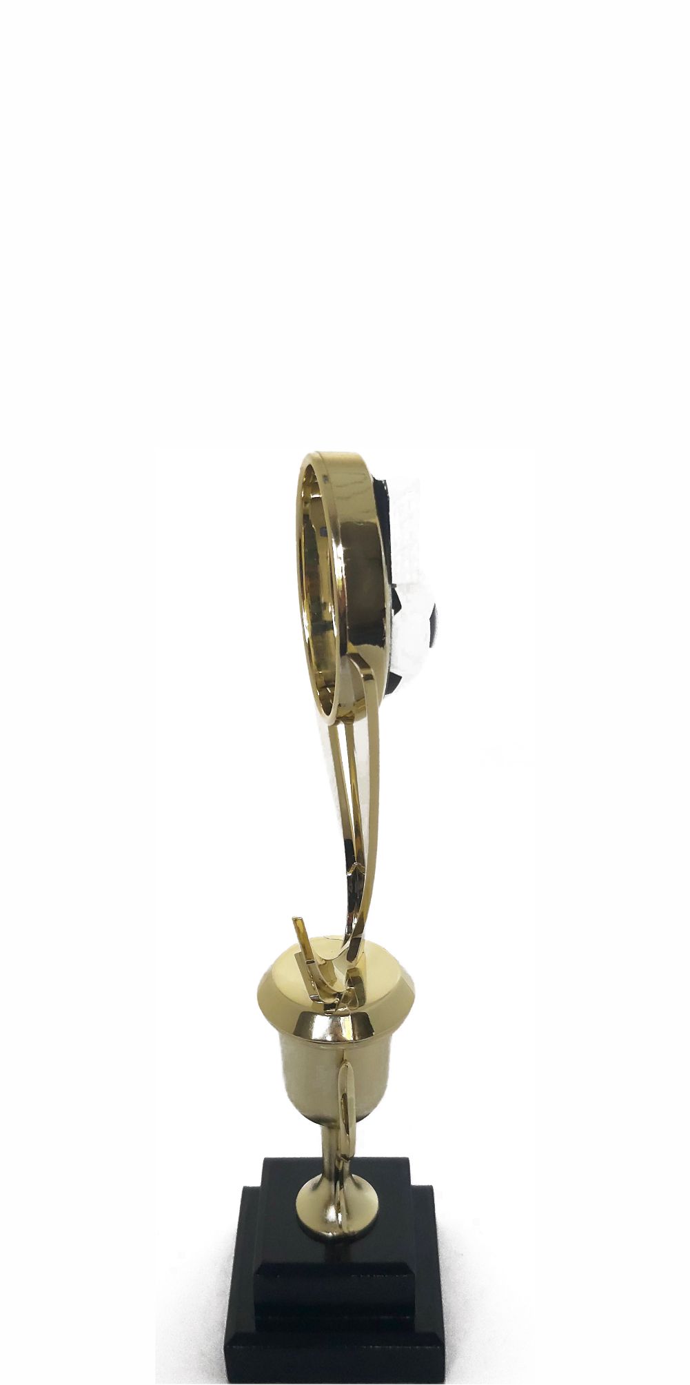 Soccer Sport Scene Trophy 250mm