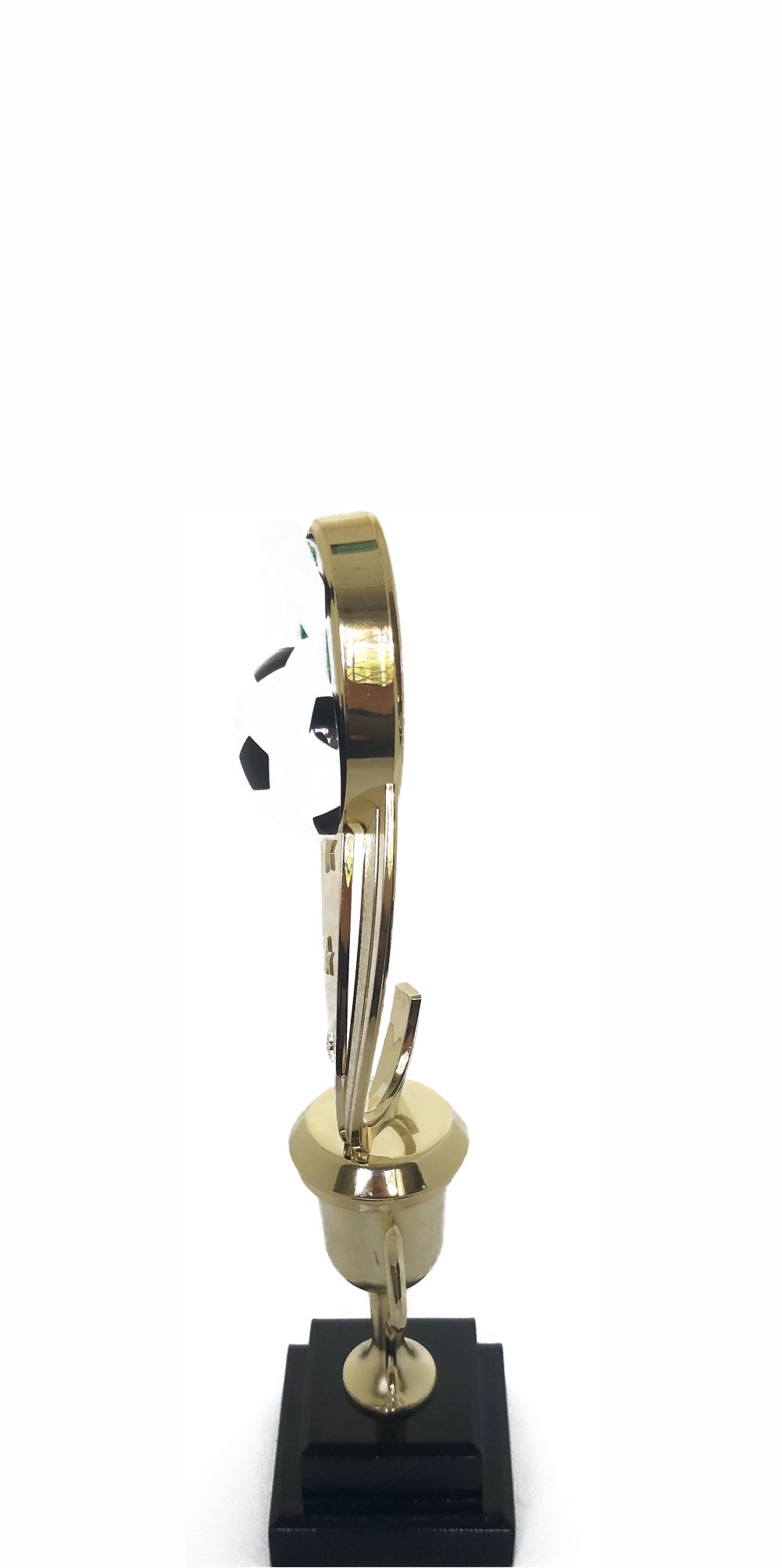 Soccer Sport Scene Trophy 250mm