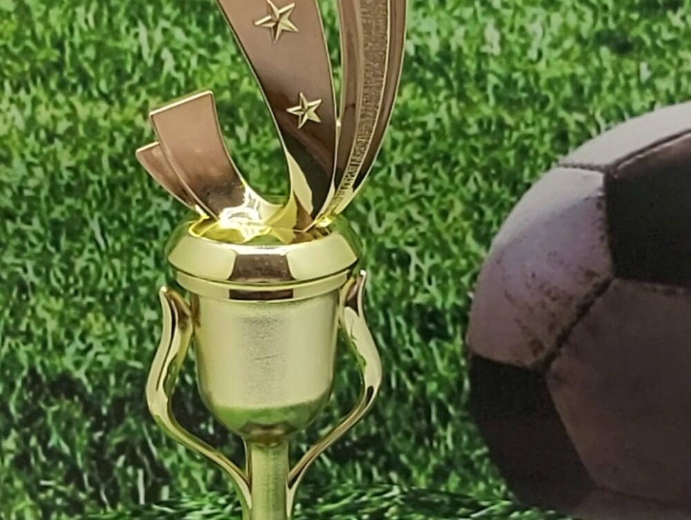 Soccer Sport Scene Trophy 250mm