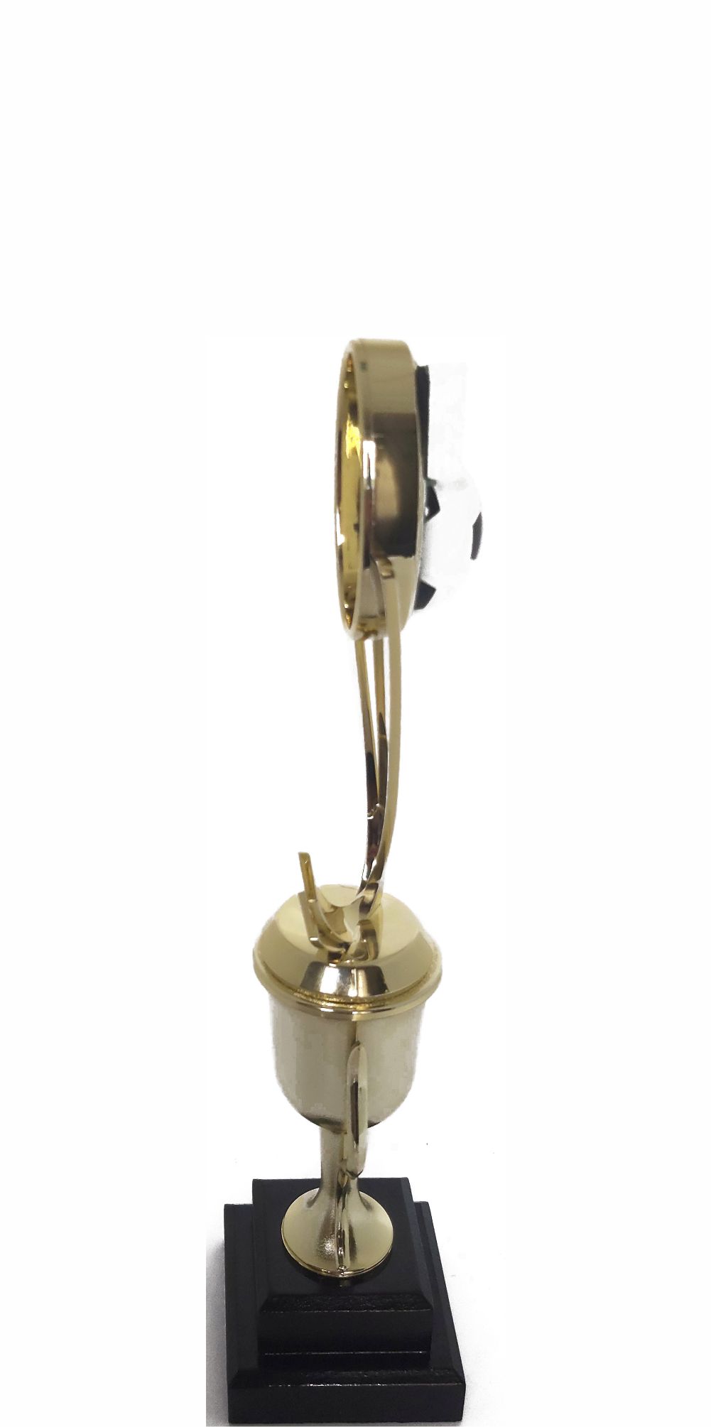 Soccer Sport Scene Trophy 275mm