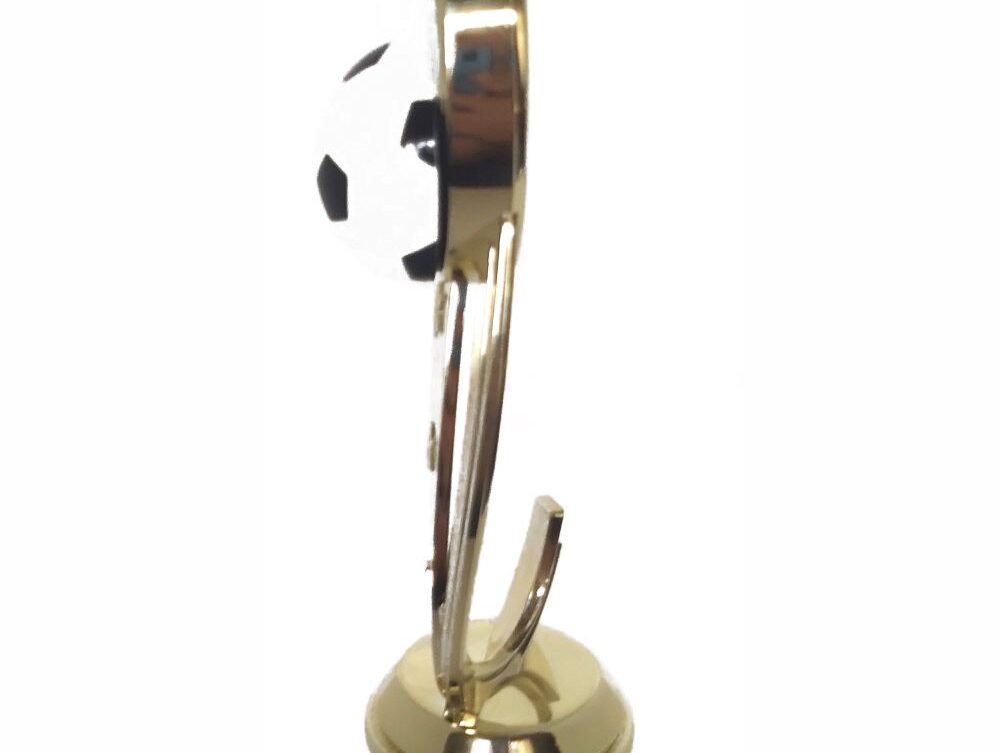 Soccer Sport Scene Trophy 275mm
