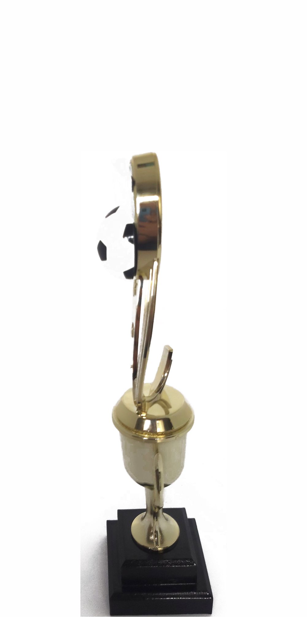 Soccer Sport Scene Trophy 275mm