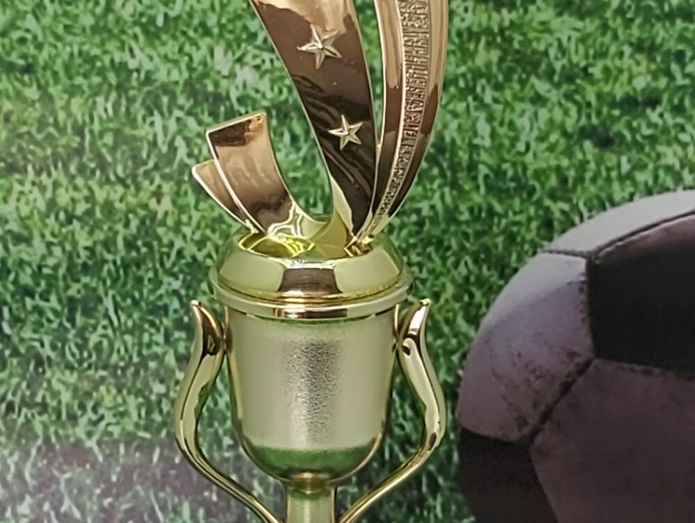 Soccer Sport Scene Trophy 275mm