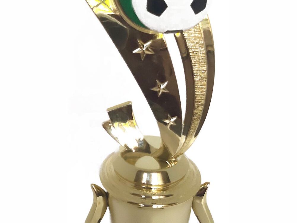 Soccer Sport Scene Trophy 310mm