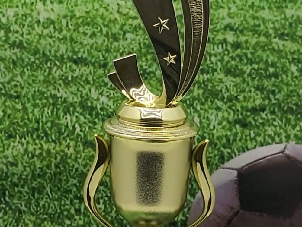Soccer Sport Scene Trophy 310mm