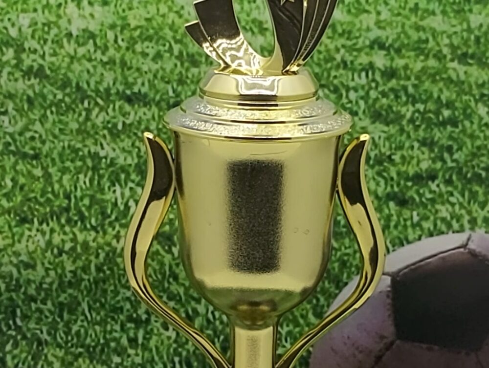 Soccer Sport Scene Trophy 350mm