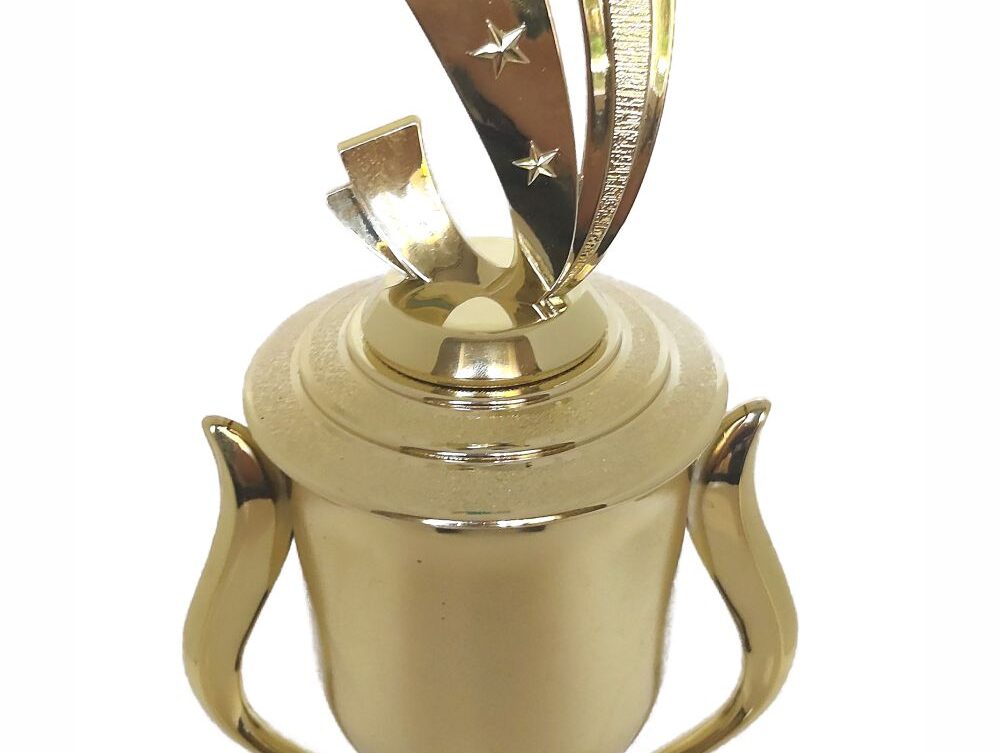 Soccer Sport Scene Trophy 390mm