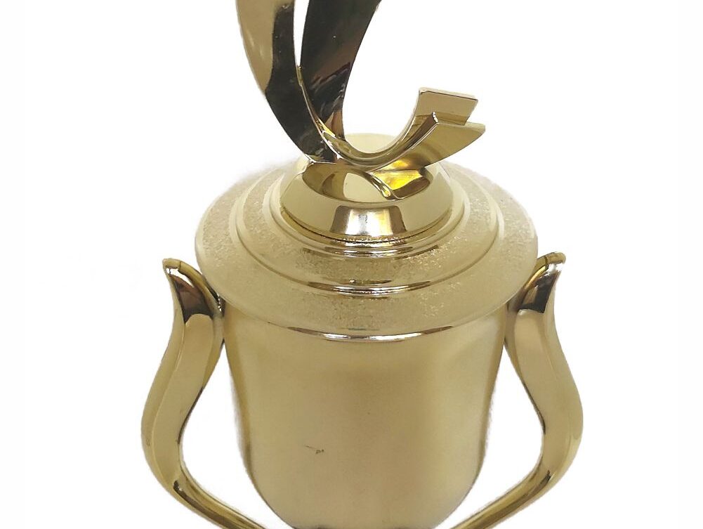 Soccer Sport Scene Trophy 390mm