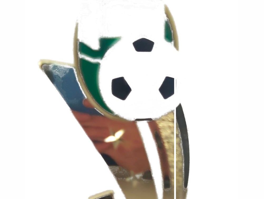 Soccer Sport Scene Trophy 205mm