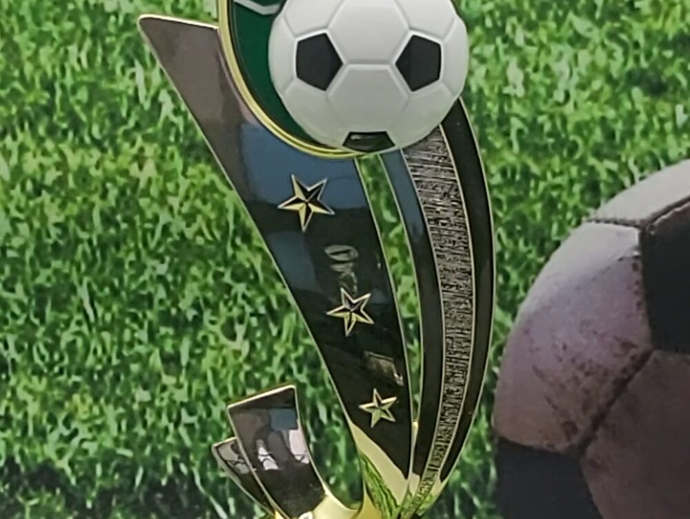 Soccer Sport Scene Trophy 205mm