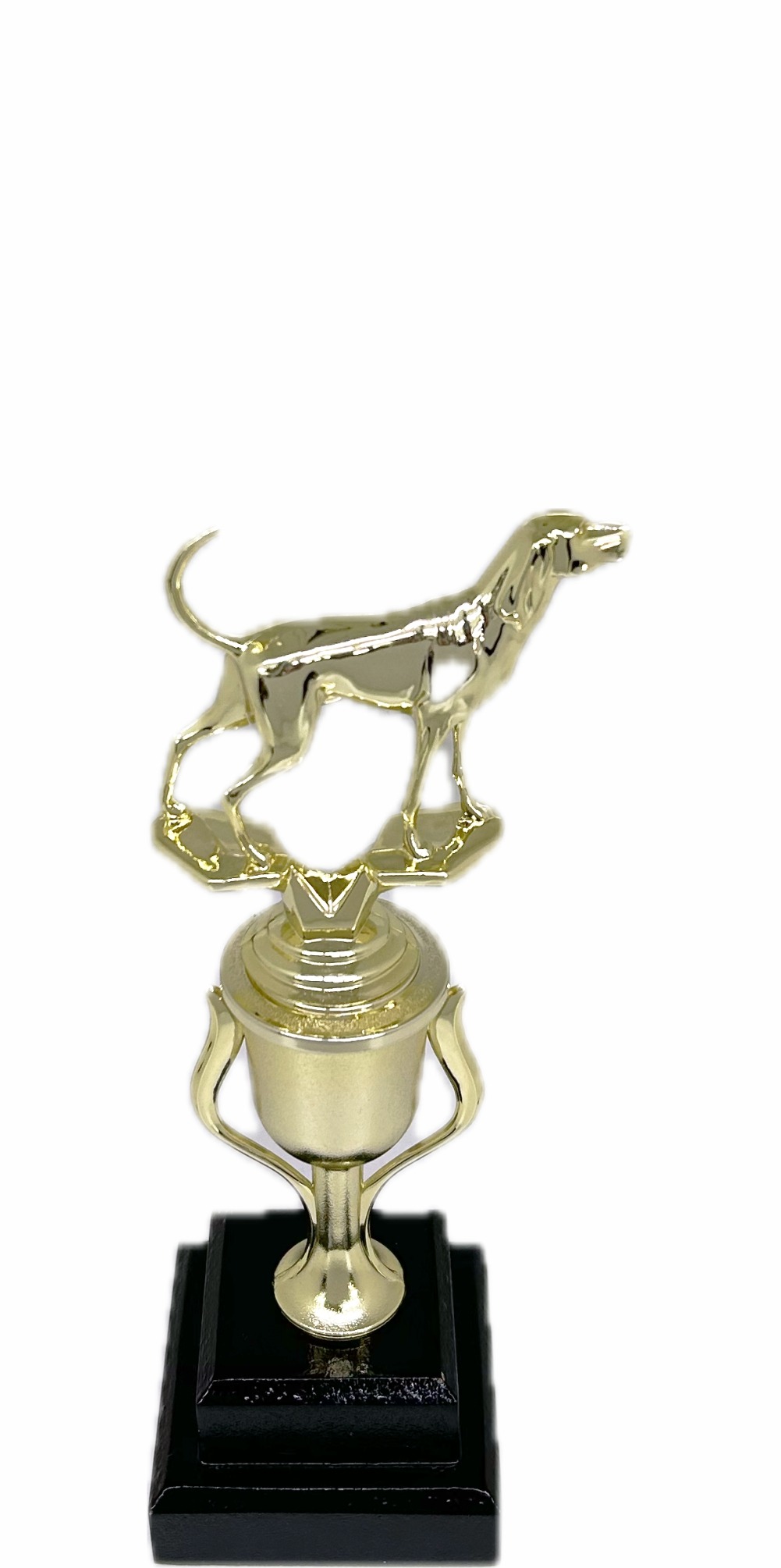 Dog Coon Hound Trophy 240mm