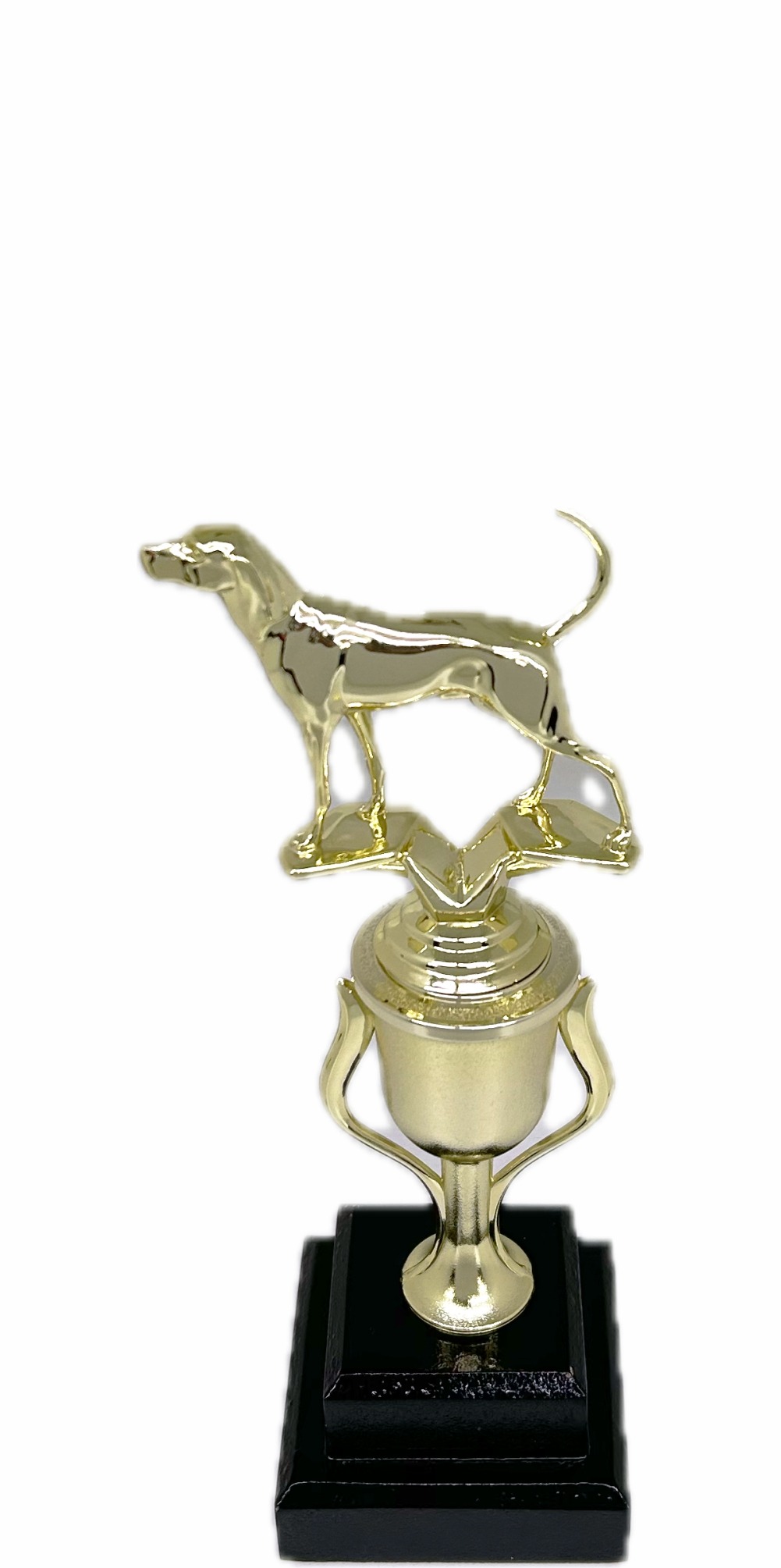 Dog Coon Hound Trophy 240mm