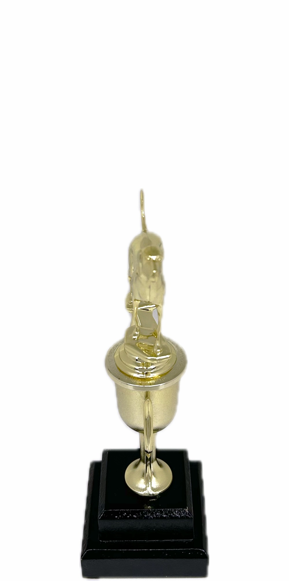 Dog Coon Hound Trophy 240mm