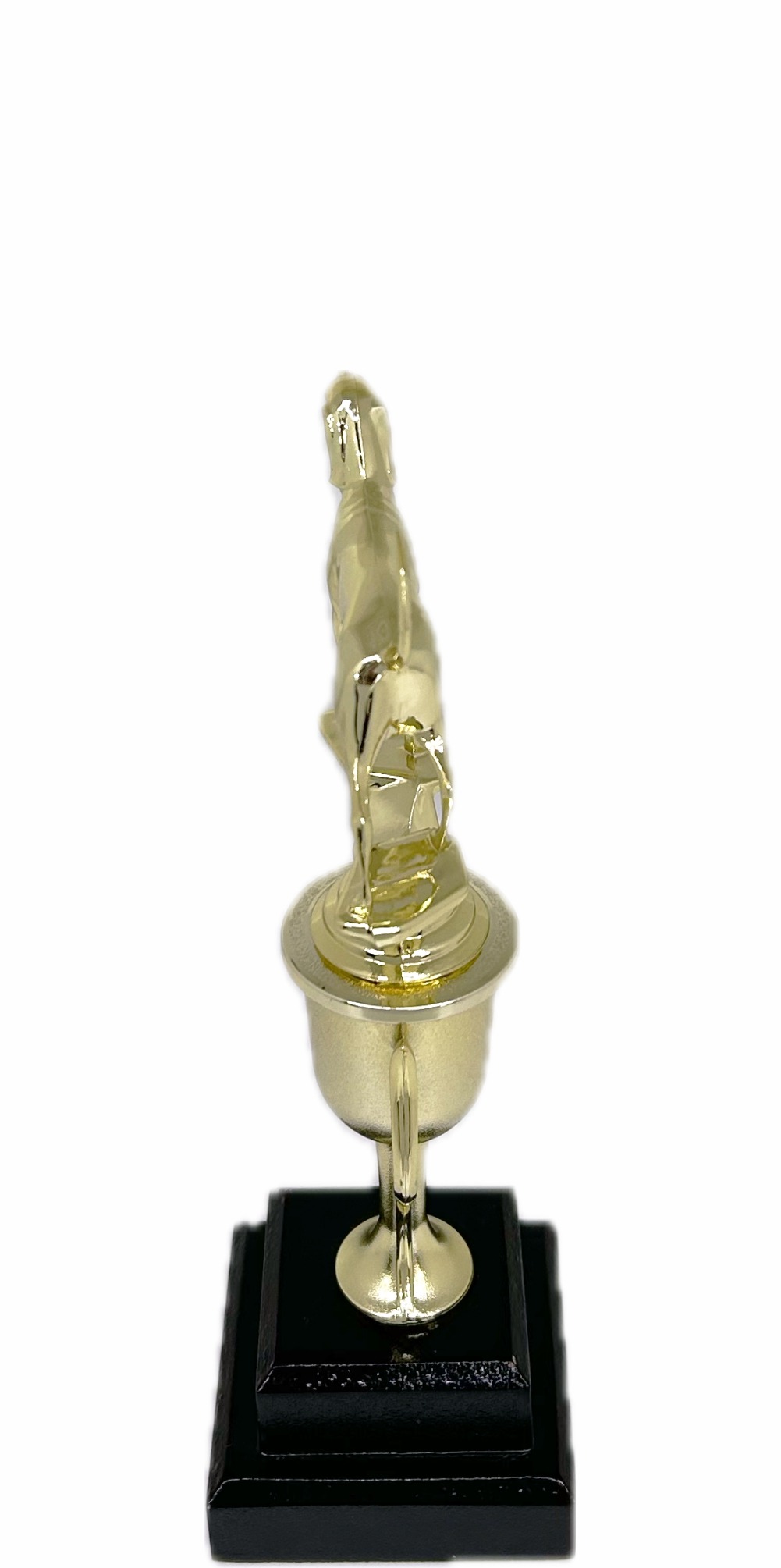 Dog Coon Hound Trophy 265mm