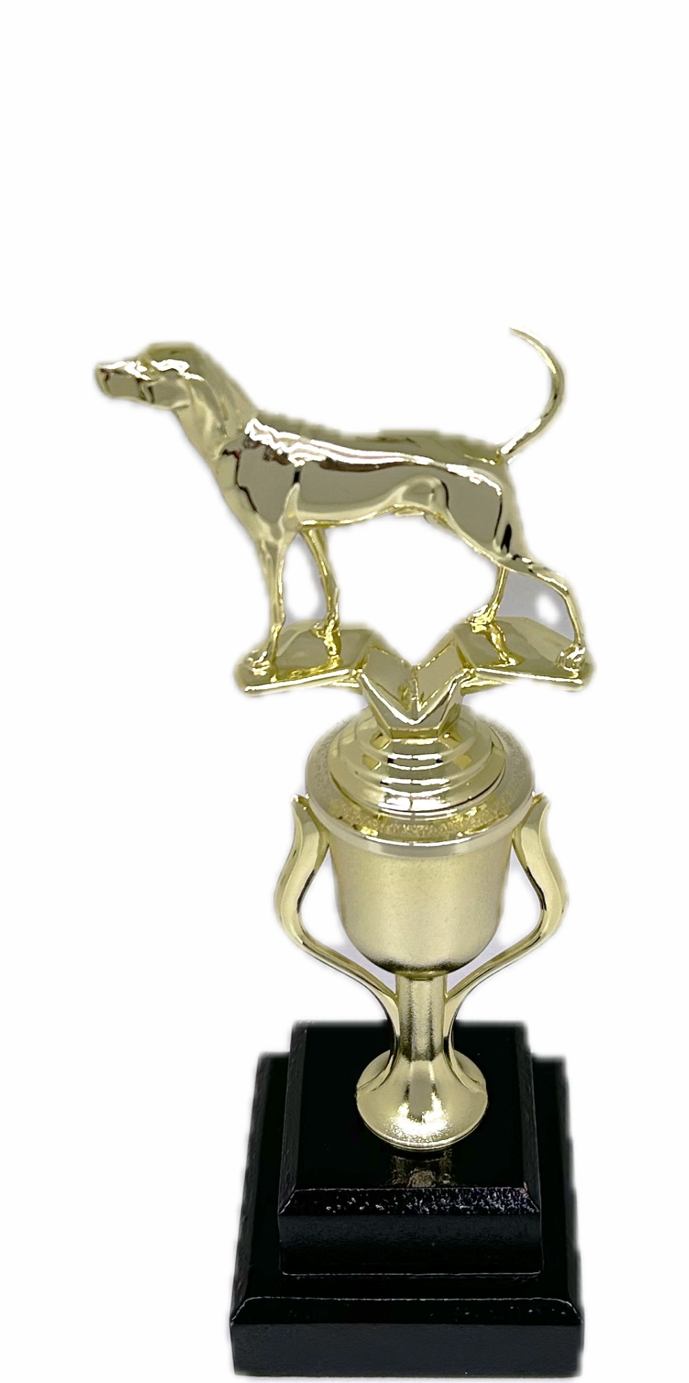Dog Coon Hound Trophy 265mm