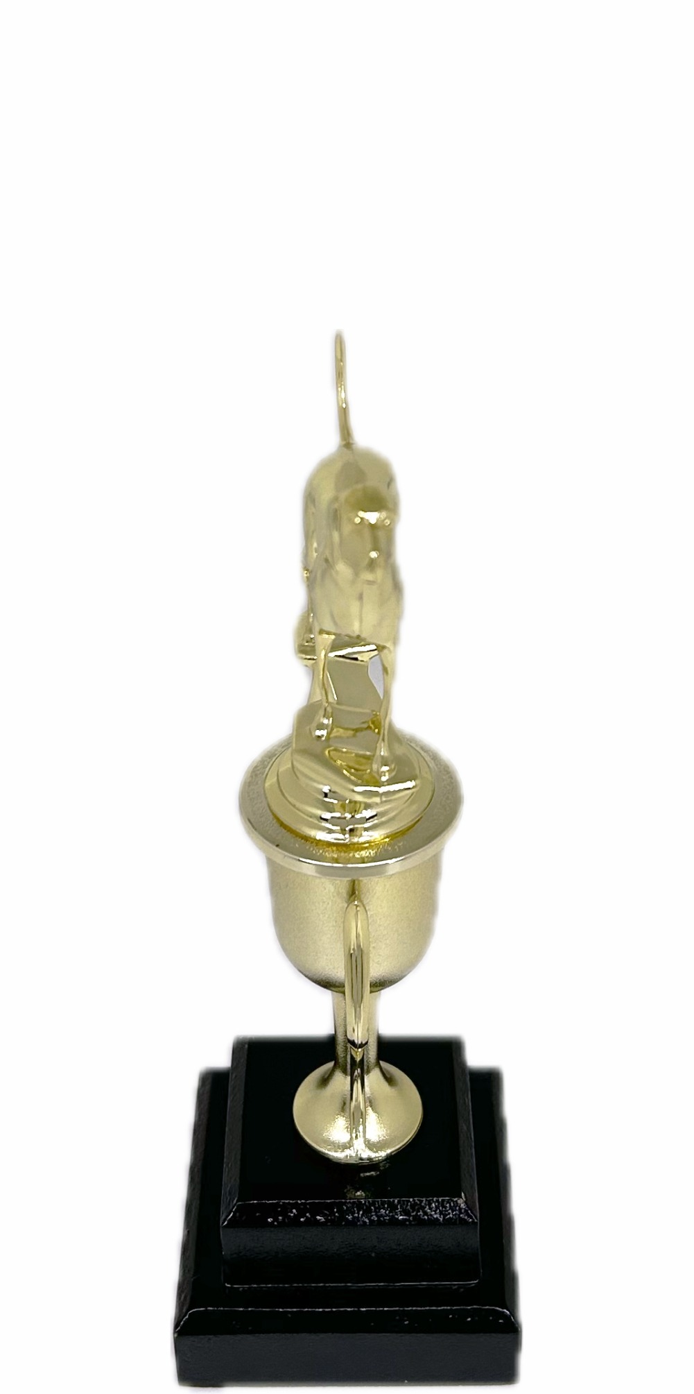 Dog Coon Hound Trophy 265mm