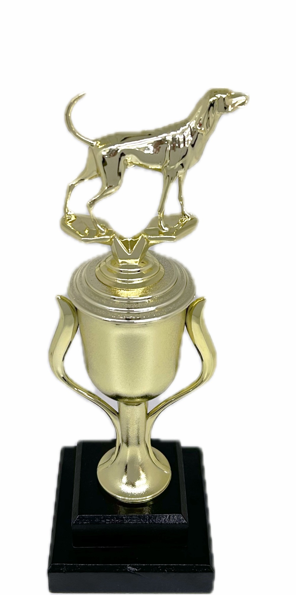 Dog Coon Hound Trophy 300mm