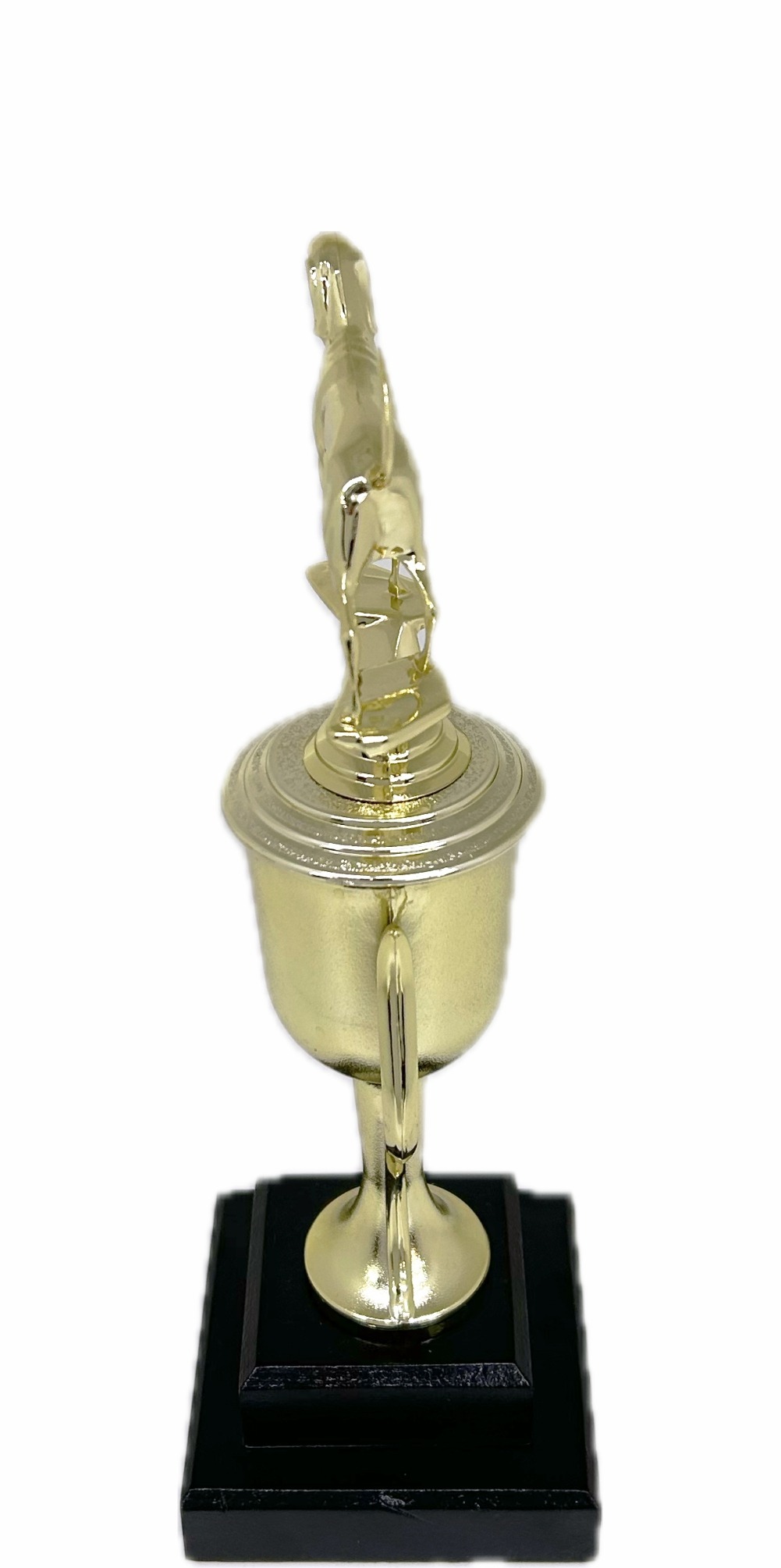 Dog Coon Hound Trophy 300mm