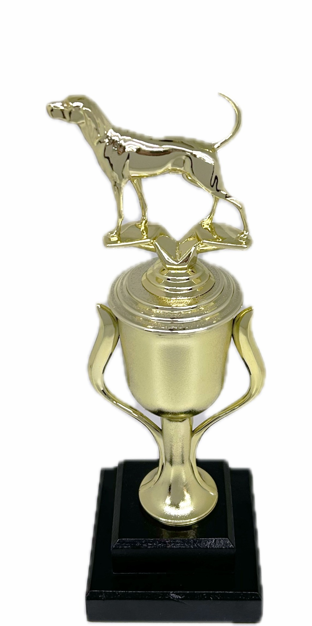 Dog Coon Hound Trophy 300mm