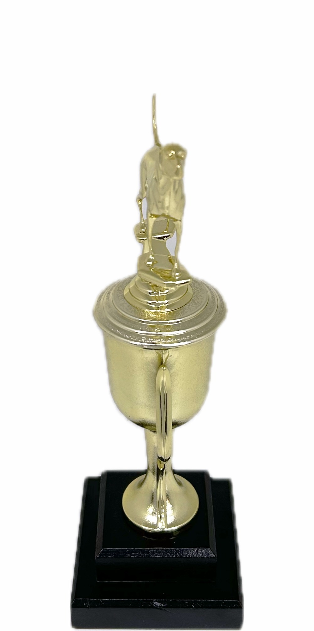 Dog Coon Hound Trophy 300mm