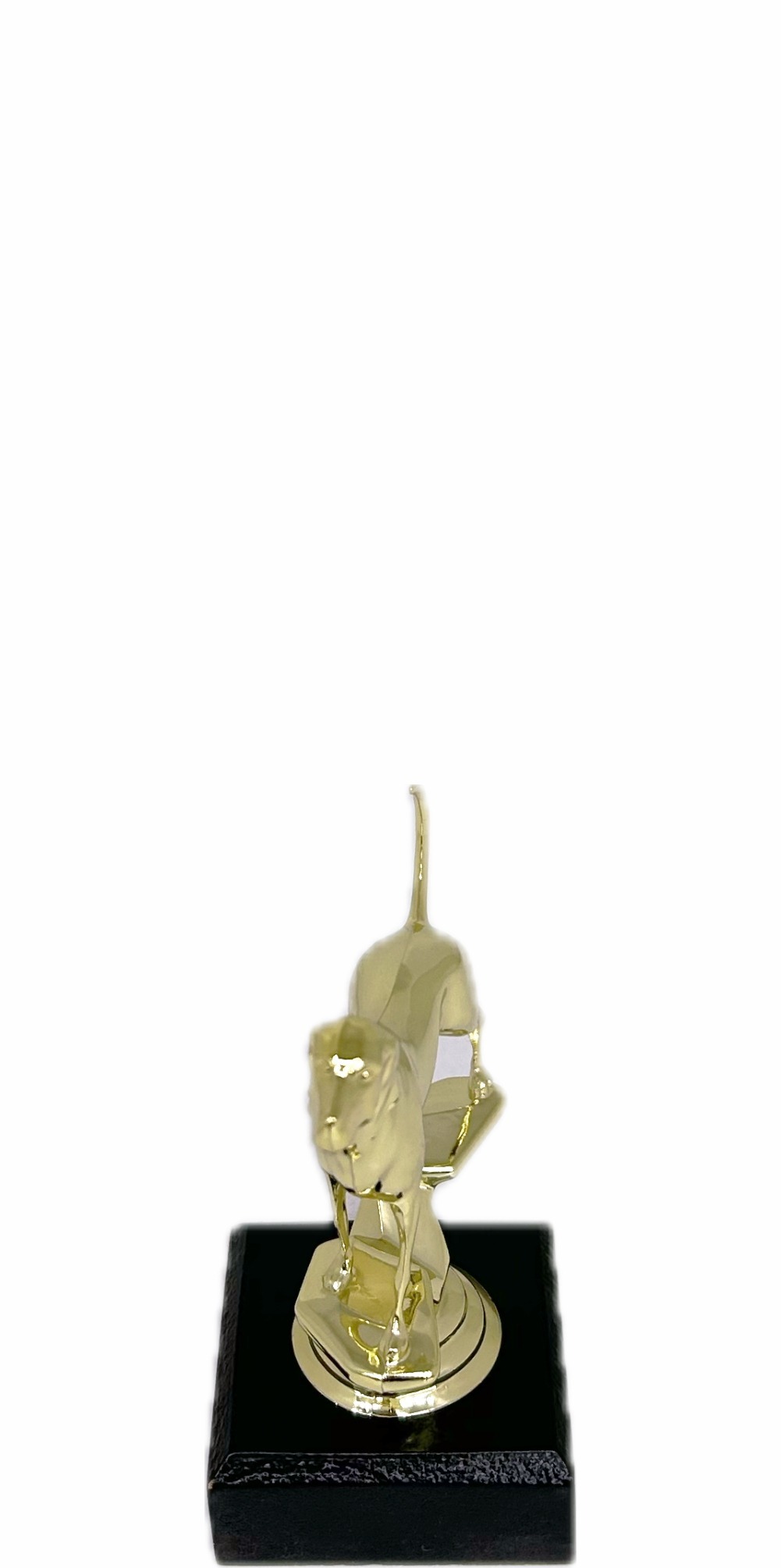Dog Coon Hound Trophy 125mm