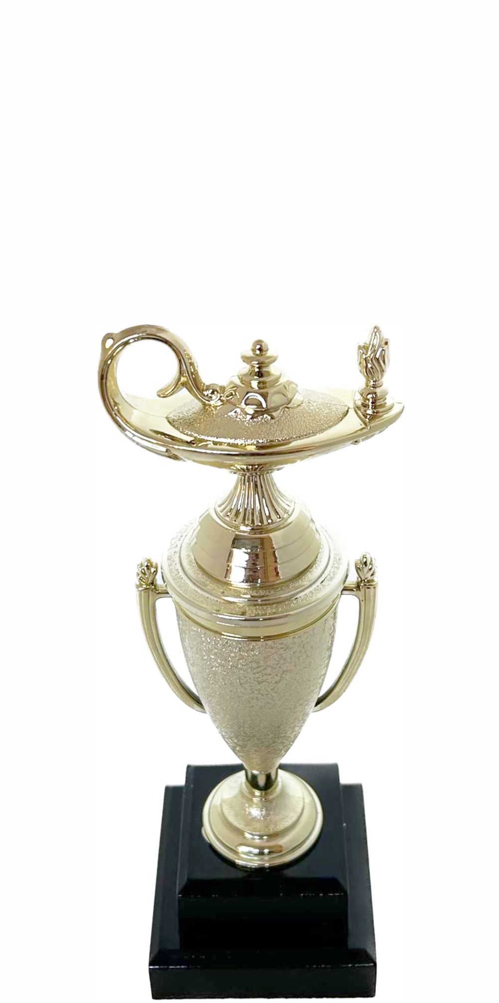 Lamp Of Knowledge Lamp Trophy 215mm