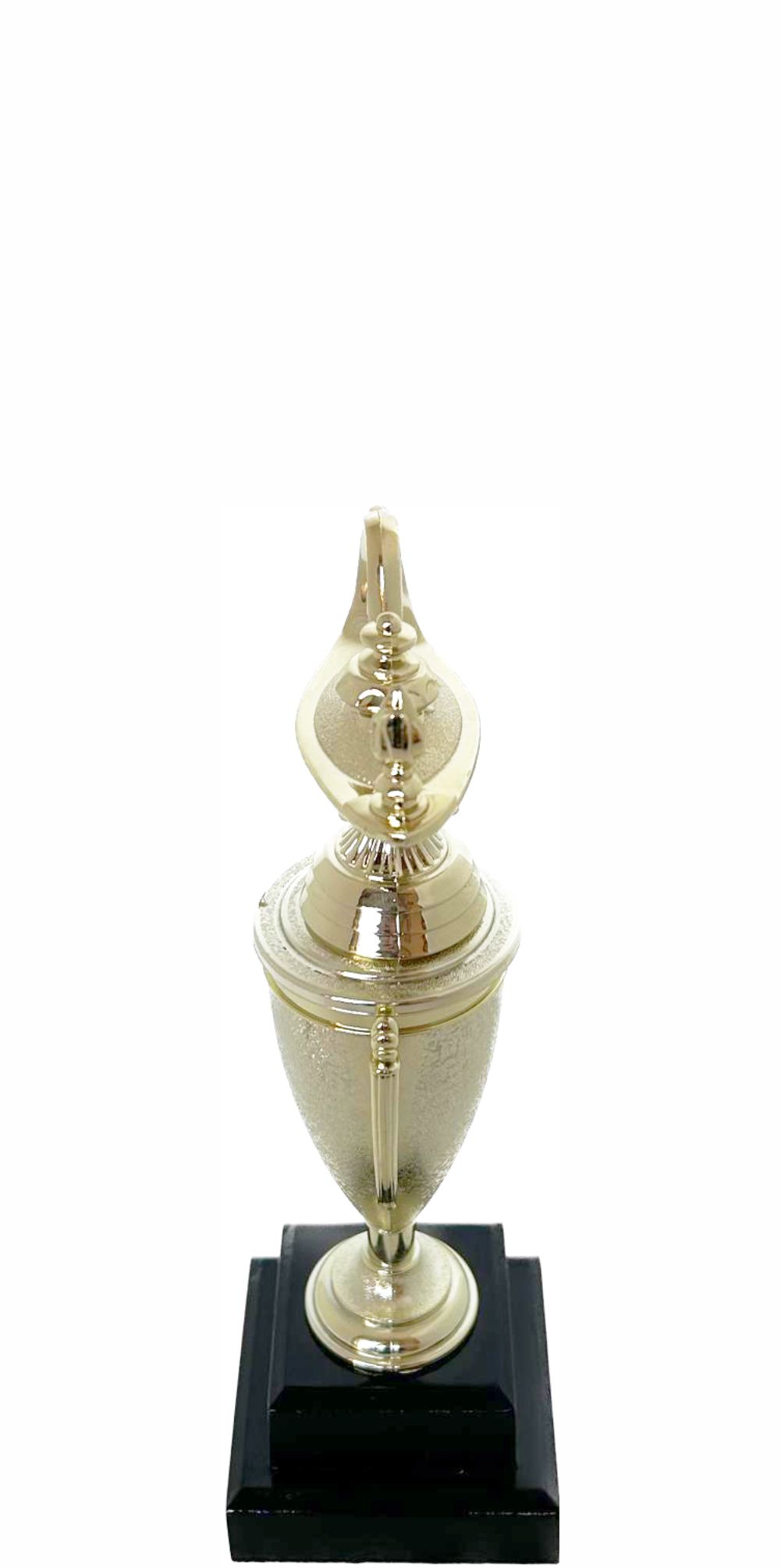 Lamp Of Knowledge Lamp Trophy 215mm