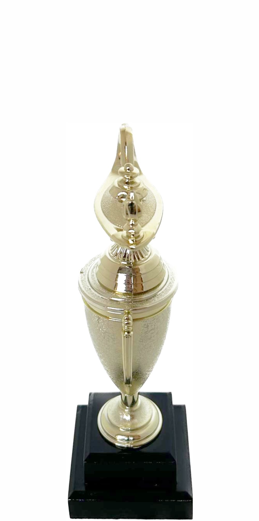 Lamp Of Knowledge Lamp Trophy 240mm
