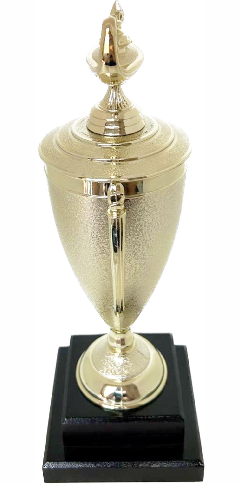 Lamp Of Knowledge Lamp Trophy 355mm
