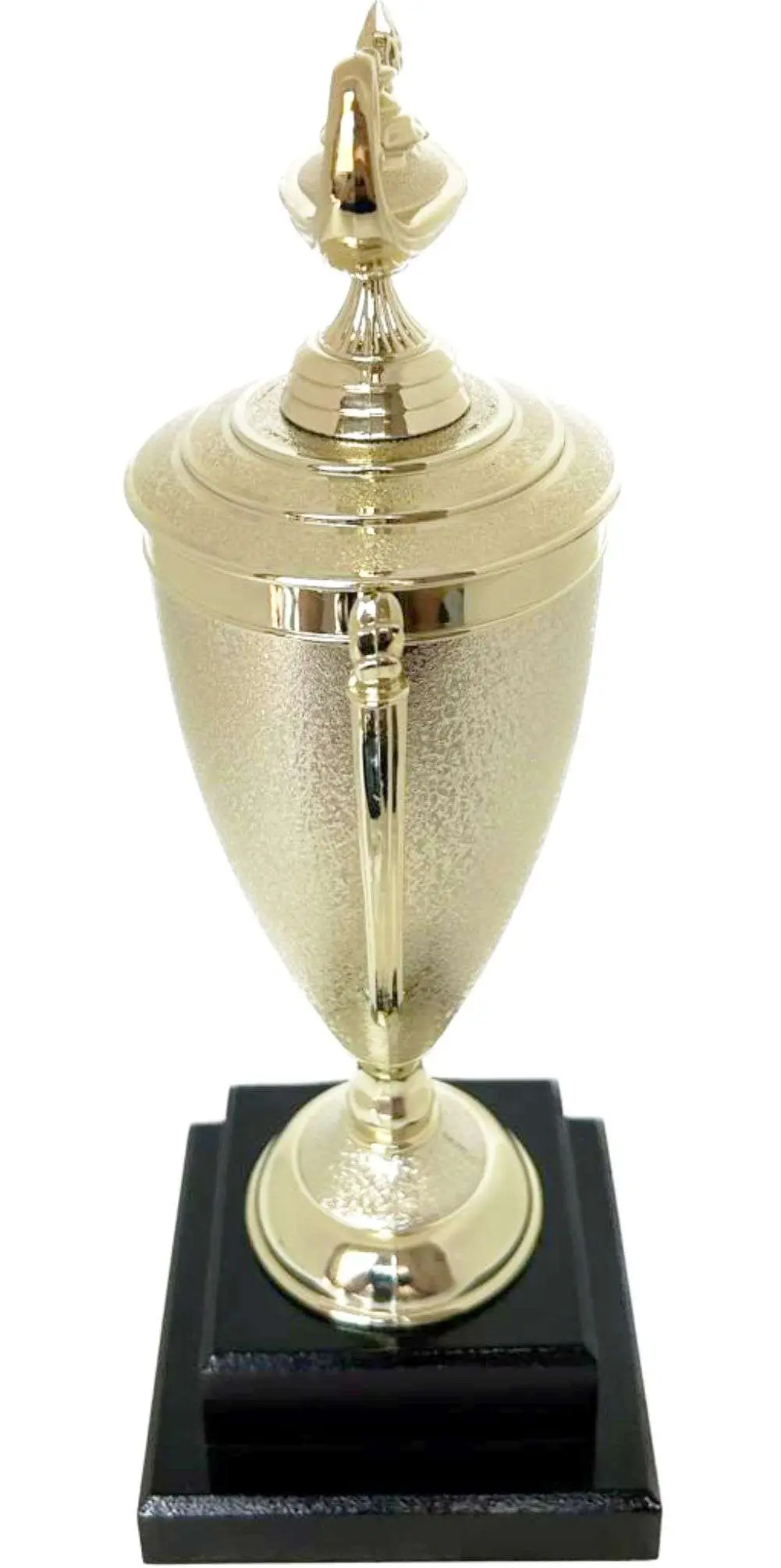 Lamp Of Knowledge Lamp Trophy 355mm