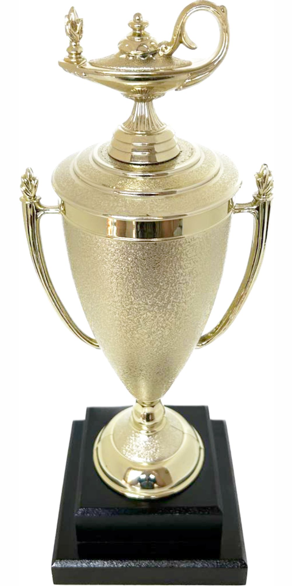 Lamp Of Knowledge Lamp Trophy 355mm
