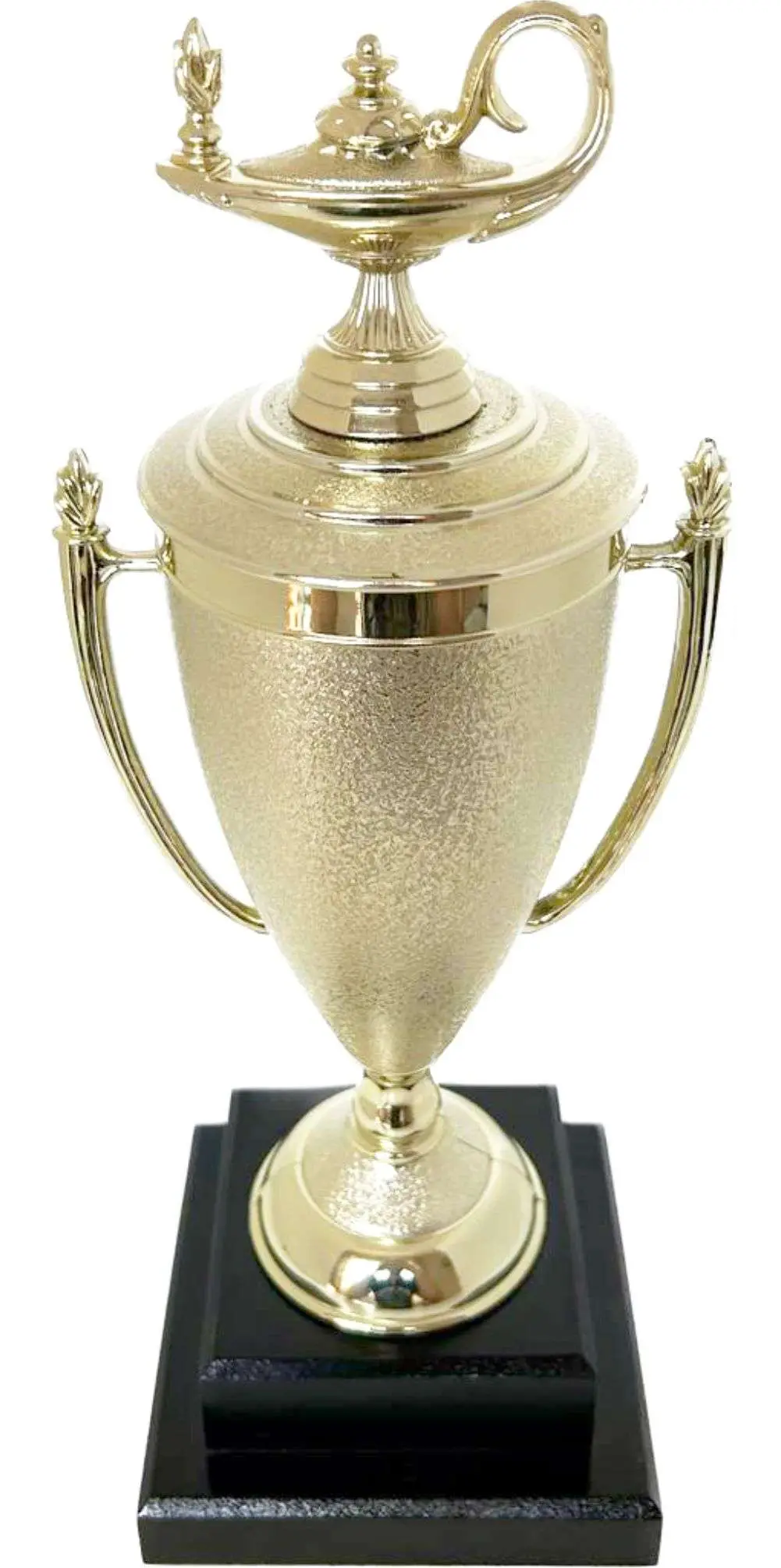 Lamp Of Knowledge Lamp Trophy 355mm