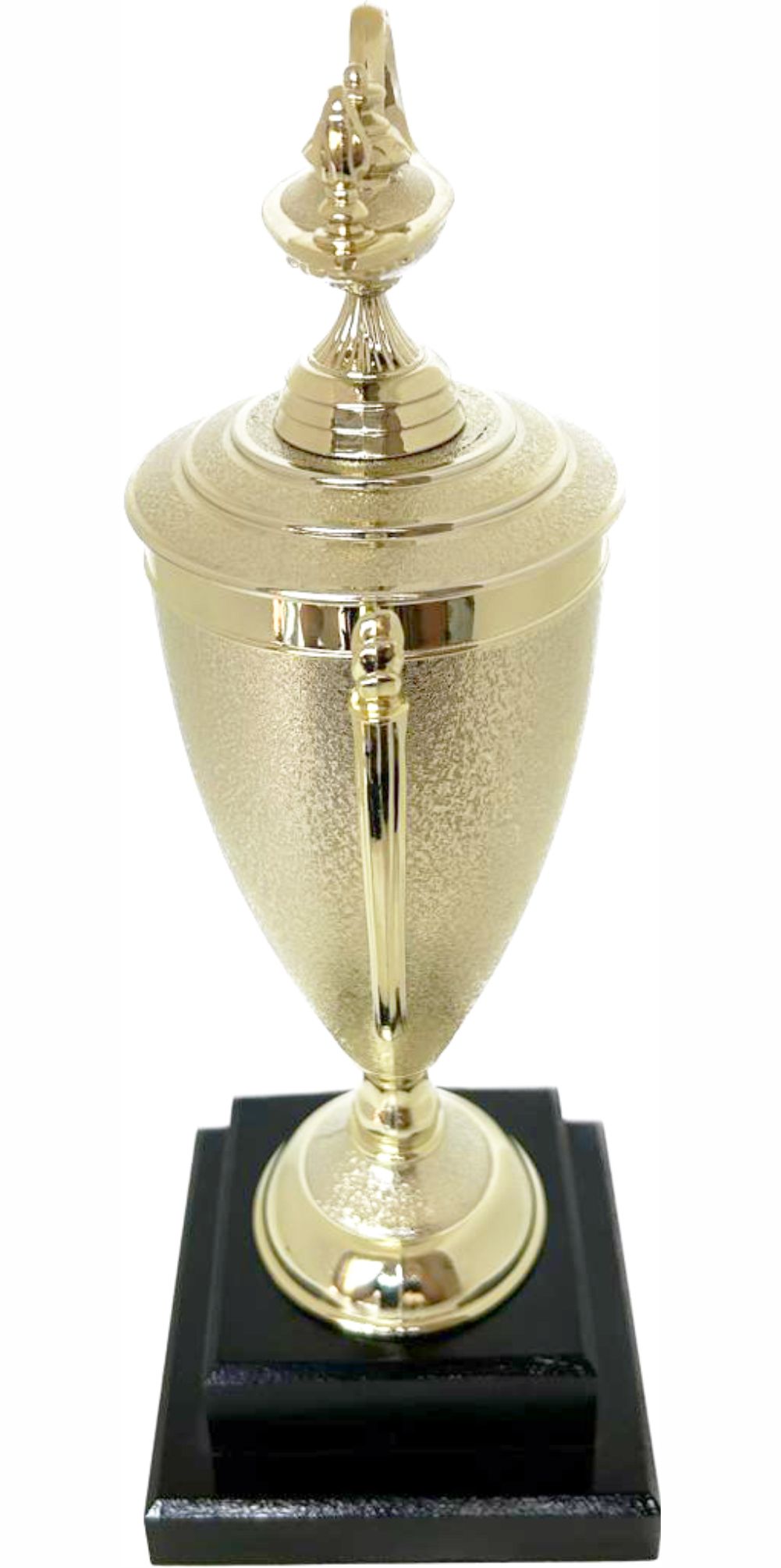 Lamp Of Knowledge Lamp Trophy 355mm