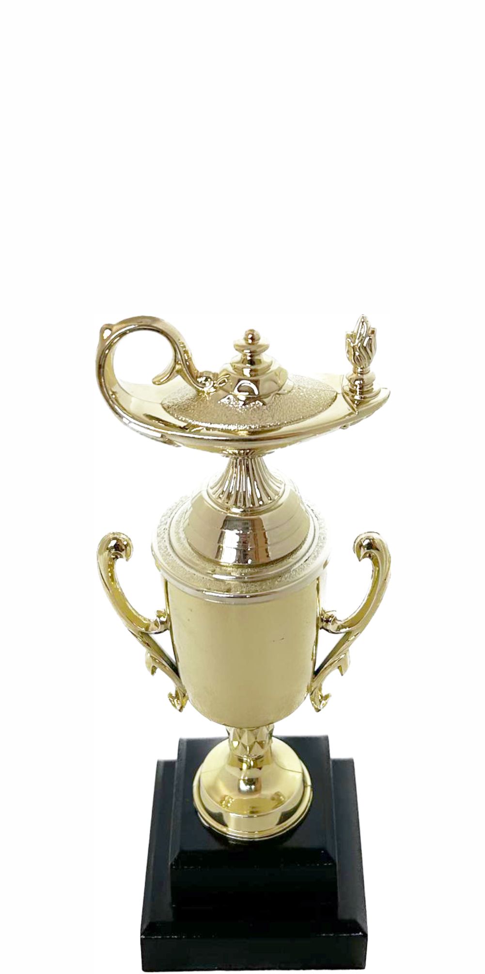 Lamp Of Knowledge Lamp Trophy 215mm