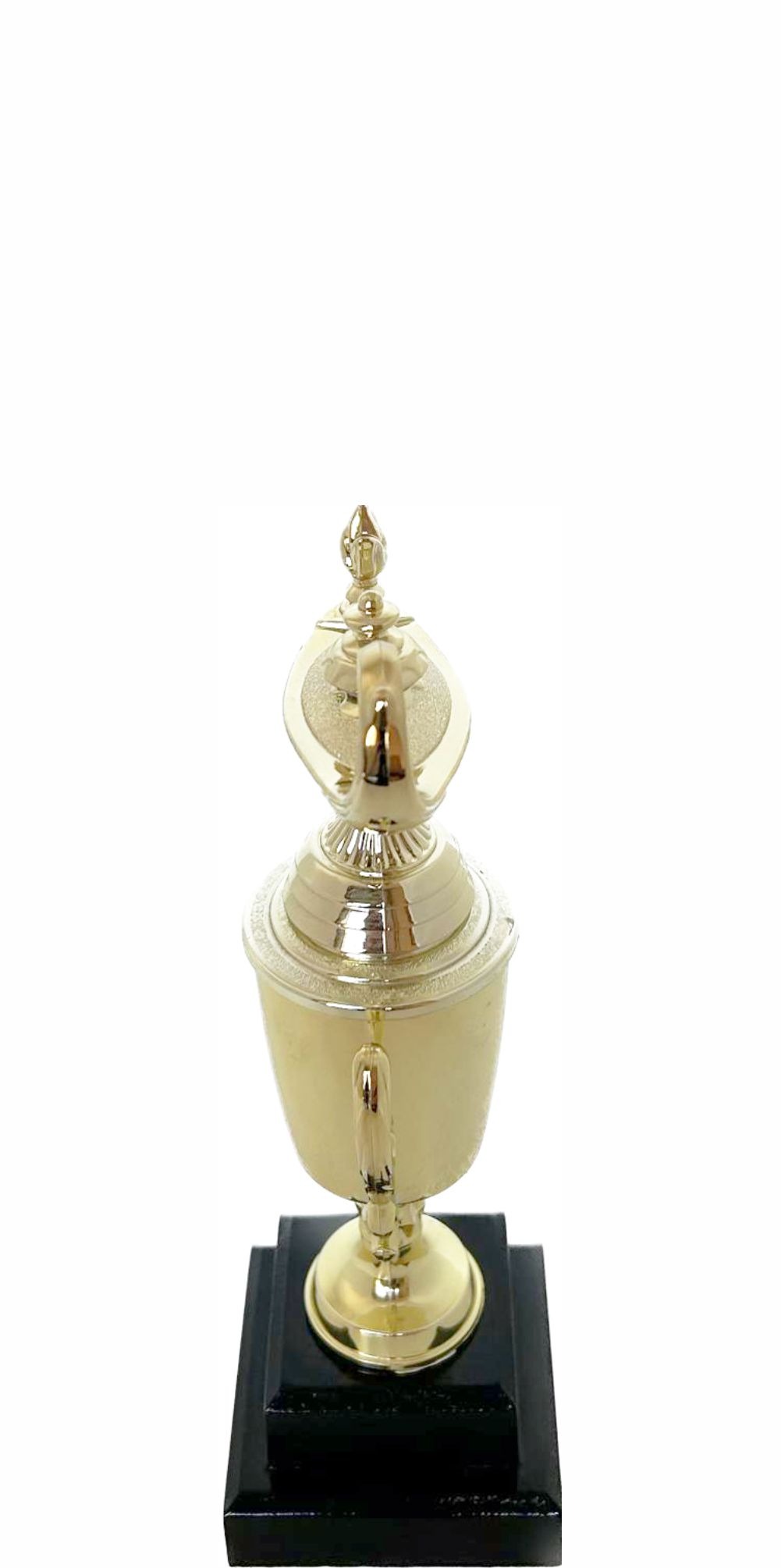 Lamp Of Knowledge Lamp Trophy 215mm