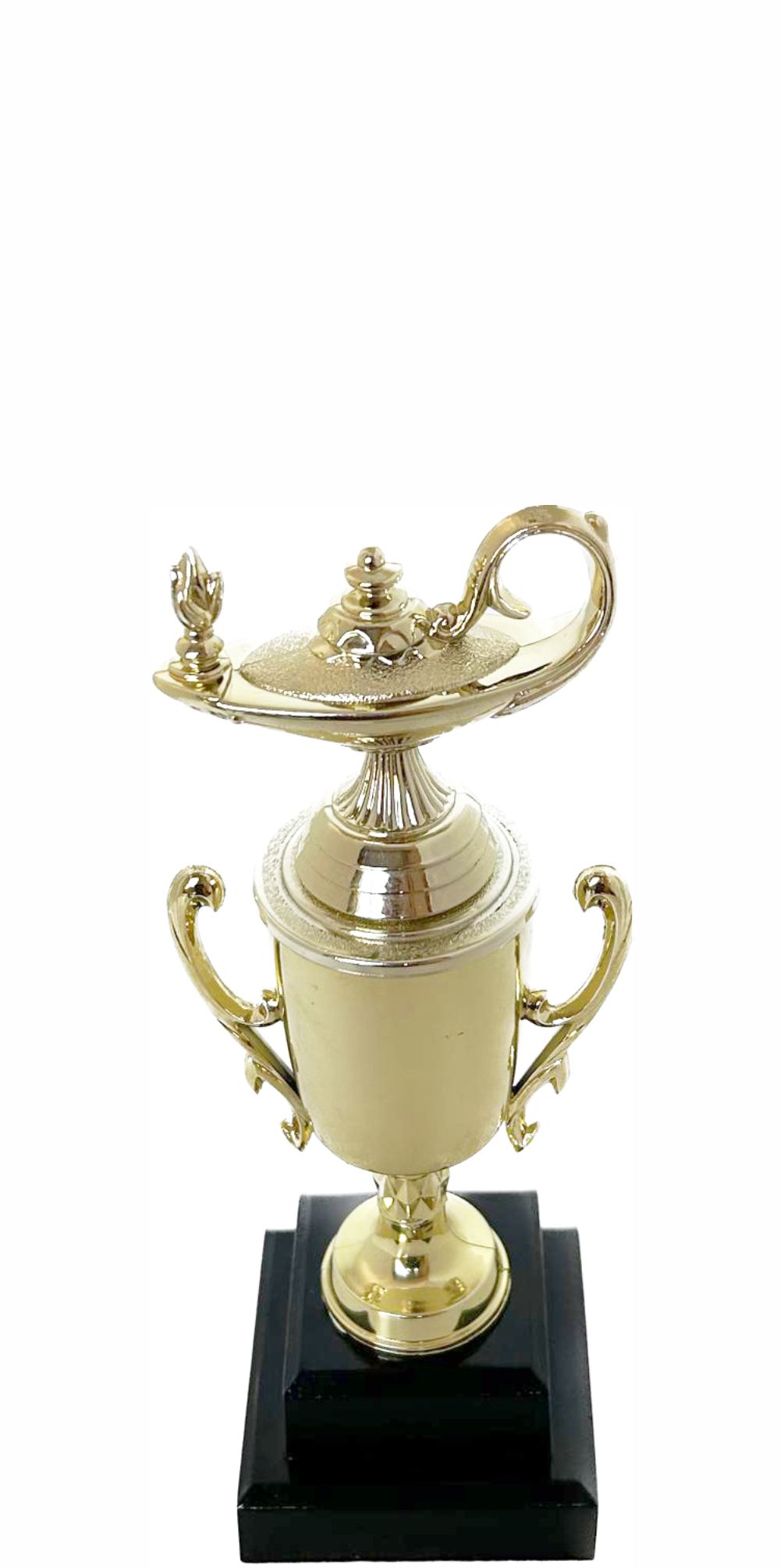 Lamp Of Knowledge Lamp Trophy 215mm