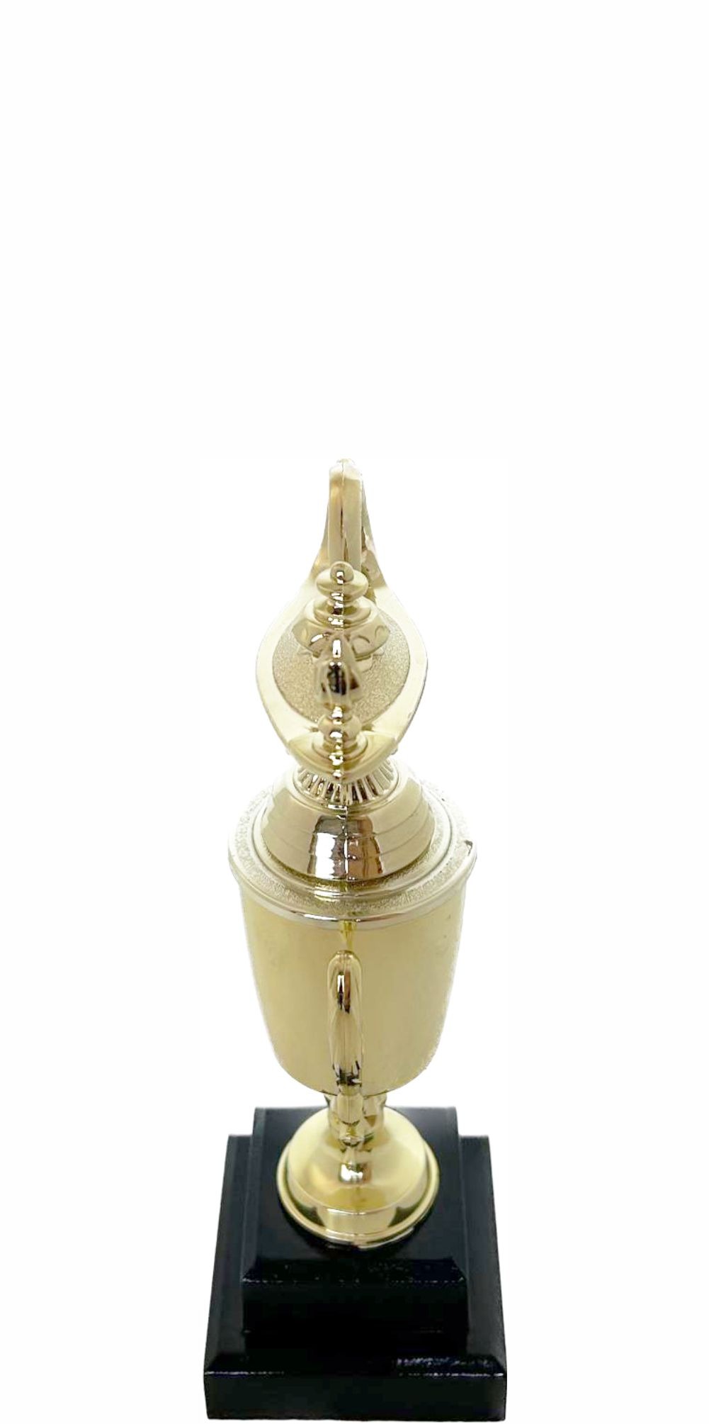 Lamp Of Knowledge Lamp Trophy 215mm