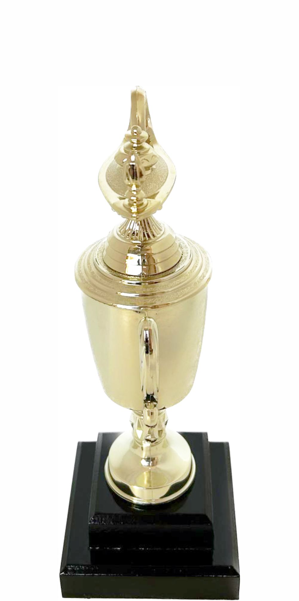 Lamp Of Knowledge Lamp Trophy 275mm