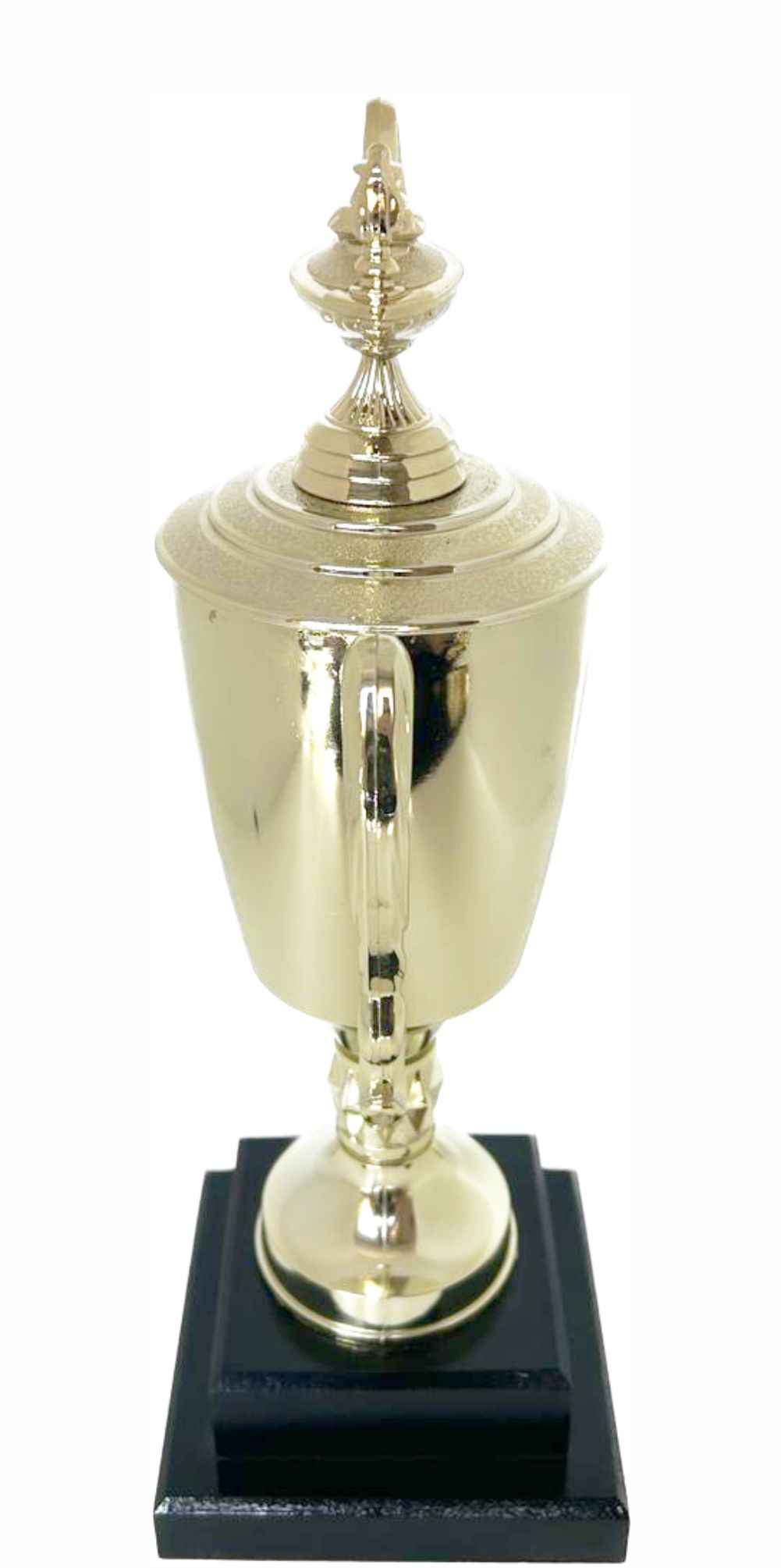 Lamp Of Knowledge Lamp Trophy 315mm