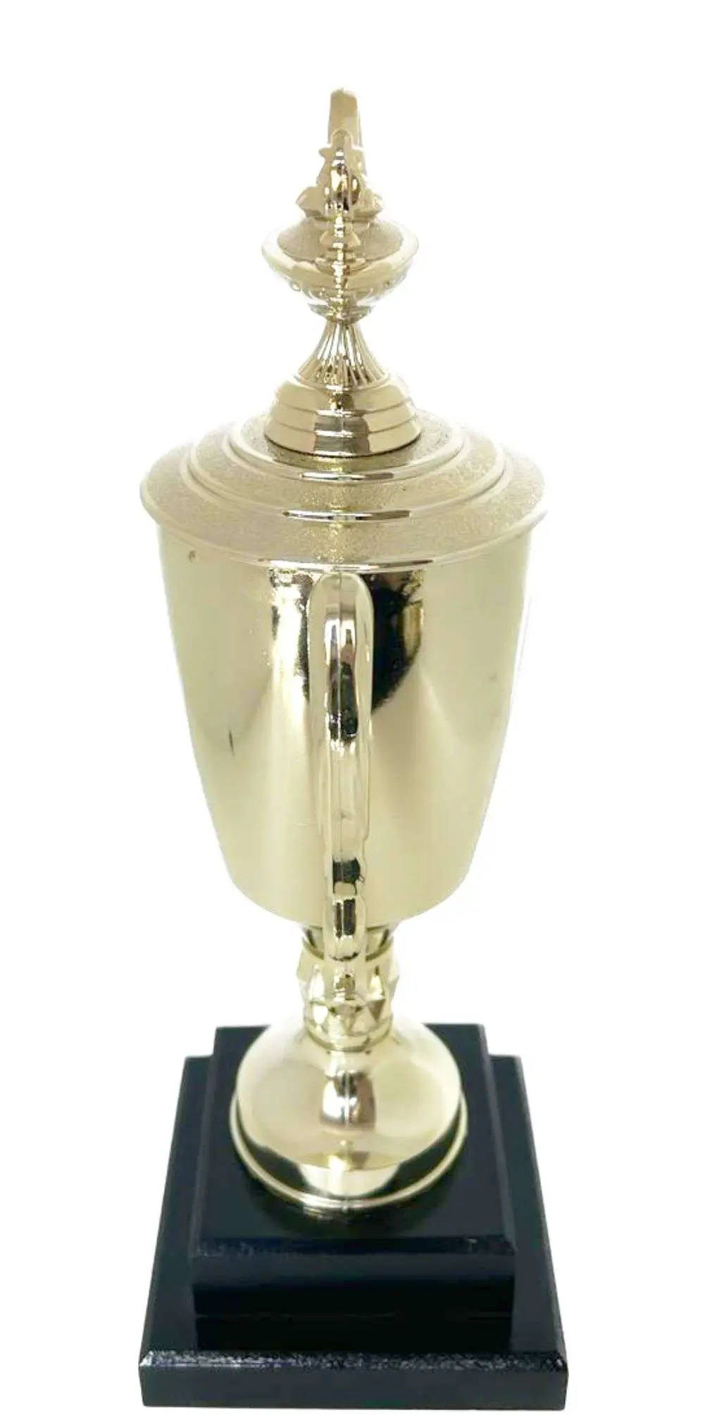 Lamp Of Knowledge Lamp Trophy 315mm
