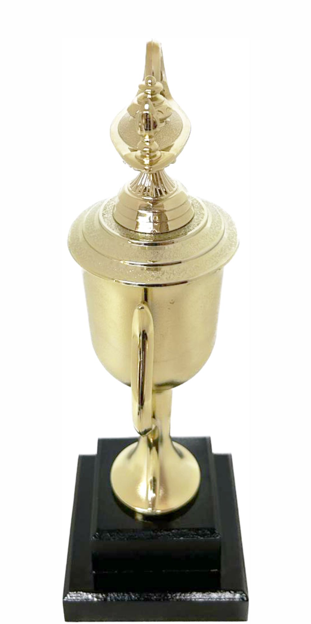 Lamp Of Knowledge Lamp Trophy 315mm
