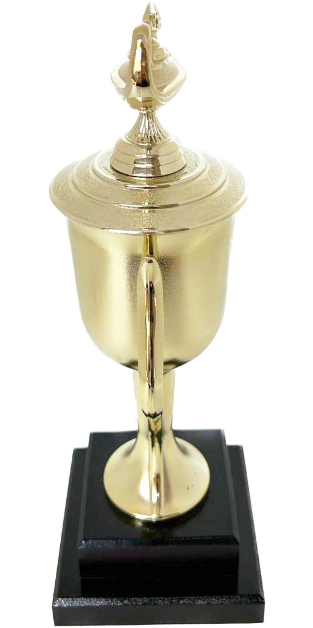 Lamp Of Knowledge Lamp Trophy 355mm