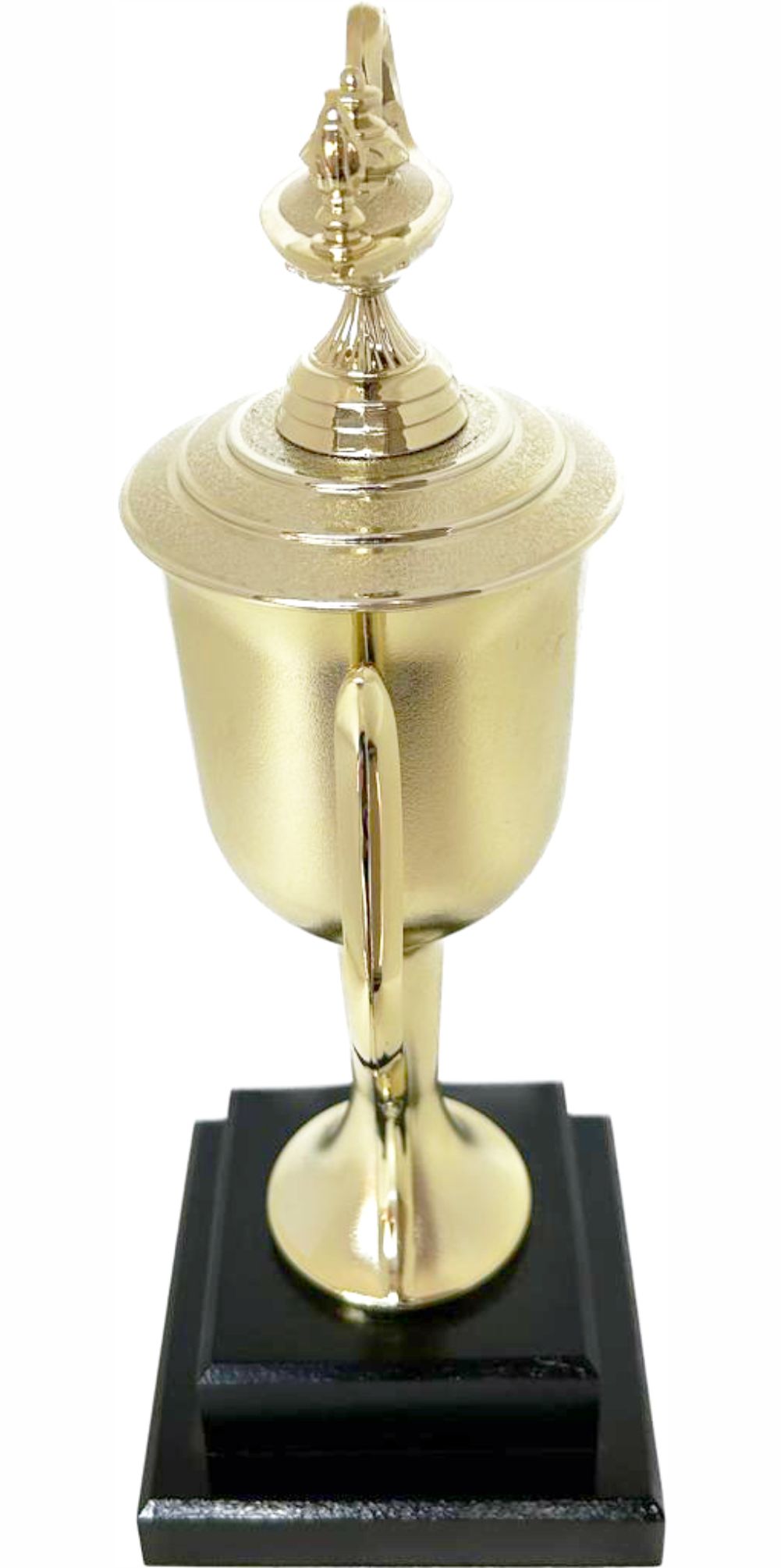 Lamp Of Knowledge Lamp Trophy 355mm
