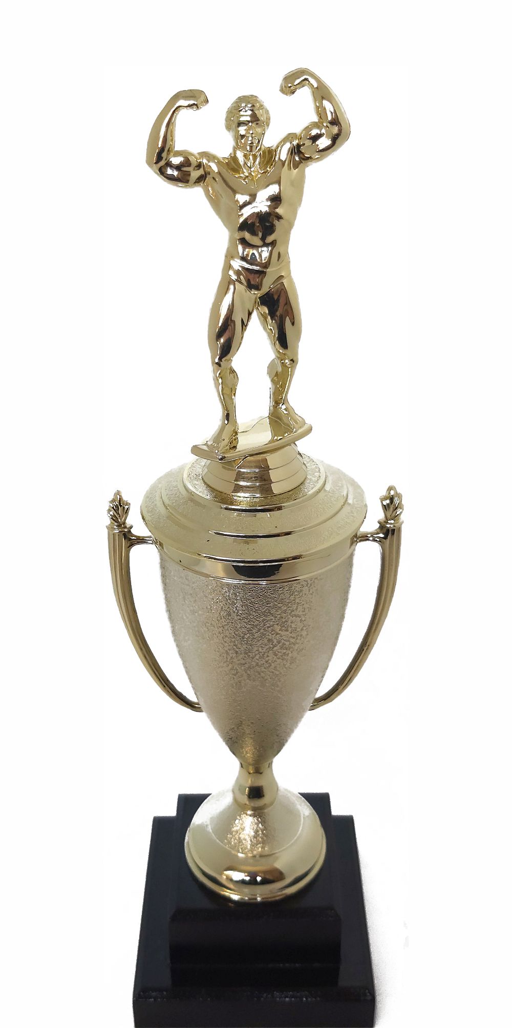 BODY BUILDER MALE 290MM